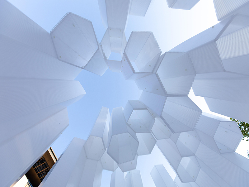 樹(shù)立正確發(fā)展軌道